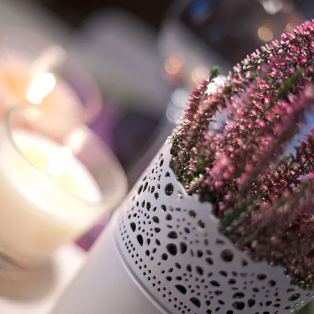 Aparthotel Apart Hotel Best