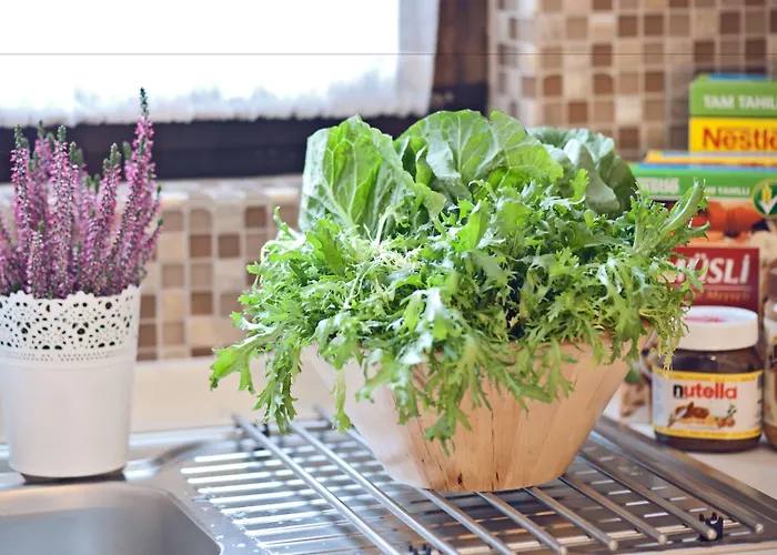 贝斯特公寓酒店 安卡拉