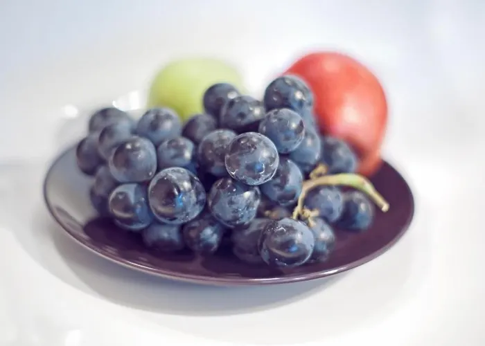 아파트호텔 아파트먼트 호텔 베스트 앙카라