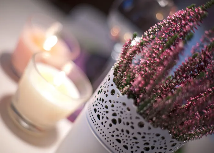 아파트호텔 아파트먼트 호텔 베스트